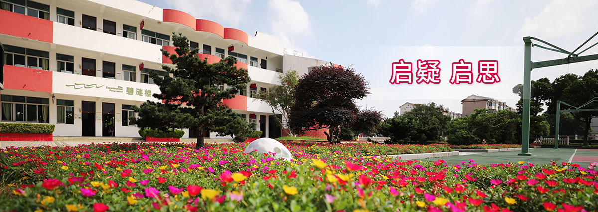 首页大图3