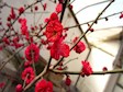 悦读越美之“跟着课本去旅行”（第十四期）