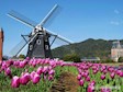 悦读悦美之“跟着课本去旅行”（第十三期）